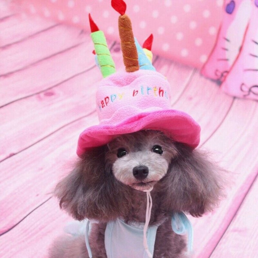 Hat Pink Cap Cake Candles Pet Birthday Costume Cosplay Puppy Dog Cat Hat